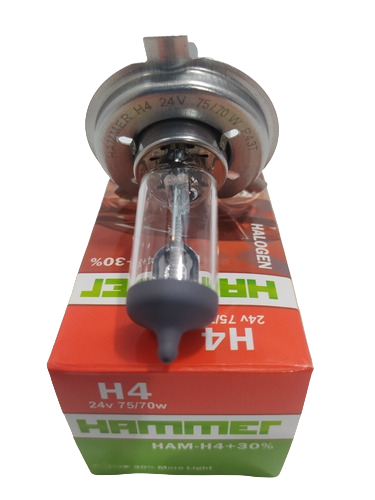 H4 24V 60/55W RALLY CAJA 10 UNIDADES