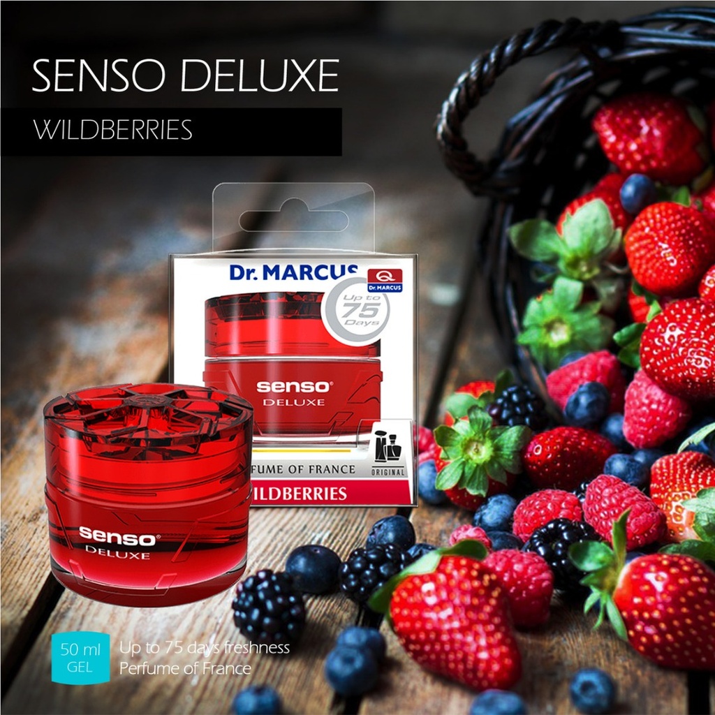 AMBIENTADOR SENSO DELUXE