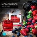 AMBIENTADOR SENSO DELUXE