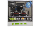 9006 NP UNLEASHED 110% 12V 55W